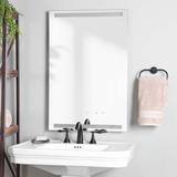 Randolph Morris Brighton 24" Lighted Bathroom Mirror with Anti-Fog RMFA-M64-24