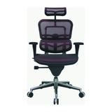 Eurotech Seating Ergohuman Mesh Managers Chair