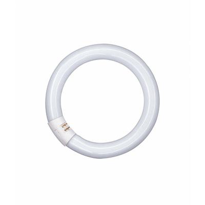Osram - Leuchtstoffröhre lumilux c - T9, 865 Tageslicht - 40W Image