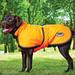 Weatherbeeta 300D Deluxe Reflective Dog Parka - 18 - Orange - Smartpak