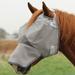 Crusader Fly Mask - Long - Without Ears - Without Ears - Large Pony/Yearling - Smartpak