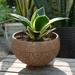 Rainforest Bowls Dragon Scales Coconut Shell Pot Planter | 4.3 H x 5.1 W x 5.1 D in | Wayfair CPRB-0007-02