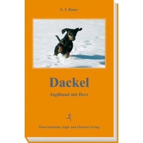 Dackel - E. F. Bauer, Leinen