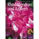 Rhododendron Und Azaleen - Rainer Härig, Helmut Härig, Gebunden