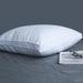 Alwyn Home , Queen Pillow: 20" x 28" Goose Down Feather Pillows Bed Pillows For Sleeping 100% Natural Cotton Cover Set Of 2 King Size | Wayfair