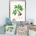 East Urban Home Vintage London Plants XI - Painting on Canvas Metal in Green | 40 H x 30 W x 1.5 D in | Wayfair 7C85FF017A5B44F8AC34F32EFDE85920