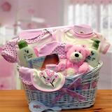 GBDS 890832-P Jungle Safari New Baby Gift Basket - Pink