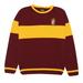 Harry Potter Mens Gryffindor Quidditch Knitted Sweater
