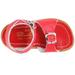 Salt Water Sandal by Hoy Shoes Surfer (Toddler/Little Kid) Red