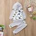 Infant Newborn Toddler Baby Boys Girls Cute 2PCS Hooded Shirt Tops+Pants Outfit Set 2018