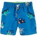 Carter's Baby Boys Swim Trunks Shorts Size 6 Months