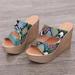 Egmy Women Ankle Strap Summer Slide Sandals Heeled Sandals Shoes