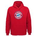 Bayern Munich Youth Primary Logo Pullover Hoodie - Red