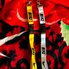 Nike Other | A Set Of 2 Nike Lanyards. | Color: White/Yellow | Size: Os