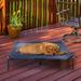 Elevated Pet Bed-Portable Raised Cot-Style Bed W/ Non-Slip Feet