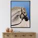 East Urban Home Portrait of White Horse in the Furrow - Photograph on Canvas Metal in Blue/White | 32 H x 24 W x 1 D in | Wayfair