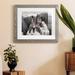 Union Rustic Wild Horses - Picture Frame Photograph Paper, Solid Wood in Black/Blue/Gray | 17 H x 20 W in | Wayfair