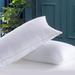 Alwyn Home Bed Pillows For Sleeping, King Size Pillows Set Of 2 Pack w/ Luxury Hotel Quality | 36 H x 20 W x 5 D in | Wayfair