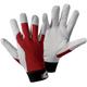 Leipold+döhle - Handschuhe Griffy Größe 8 rot/naturfarben en 388 PSA-Kategorie ii