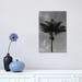 East Urban Home Monochrome Palm Tree by Bethany Young - Wrapped Canvas Photograph Print Canvas in White/Black | 18 H x 12 W x 1.5 D in | Wayfair