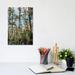 East Urban Home Charleston Cypress Gardens II by Bethany Young - Wrapped Canvas Photograph Print Canvas in Blue/Gray/Green | 12 H x 8 W in | Wayfair
