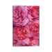 East Urban Home Pink English Rose Petals by Alyson Fennell - Wrapped Canvas Graphic Art Canvas | 26 H x 18 W x 1.5 D in | Wayfair