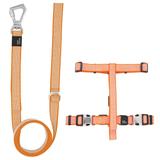 Orange 'Escapade' Outdoor Series 2-in-1 Convertible Dog Leash and Harness, Small