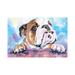 East Urban Home Bulldog Cute by George Dyachenko - Wrapped Canvas Painting Canvas | 12 H x 18 W x 1.5 D in | Wayfair