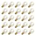 Sival 30122 - 5 watt 130 volt G30 Candelabra Screw Base Pearl White (25 pack) Christmas Light Bulbs