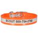 Reflective Waterproof and Ordor-Proof Oragne Dog Collars with Personalized Engraving, Medium/Large, Orange