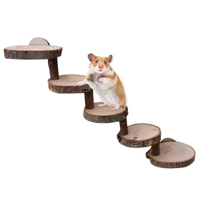 Échelle de pont en bois sûre pour hamster jouet d'escalade pour animaux de compagnie mini