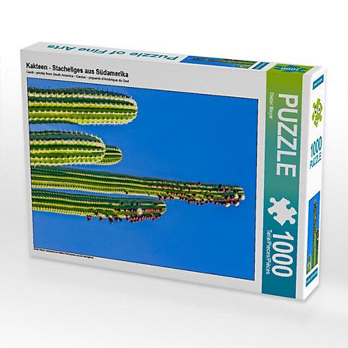 Puzzle CALVENDO Puzzle Kakteen - Stacheliges aus Südamerika - 1000 Teile Foto-Puzzle glückliche Stunden Kinder