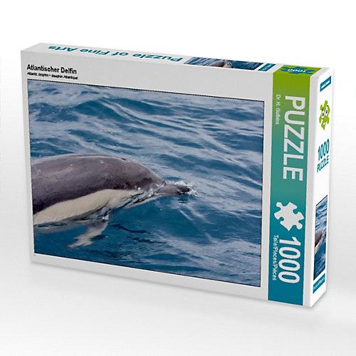 Puzzle CALVENDO Puzzle Atlantischer Delfin - 1000 Teile Foto-Puzzle glückliche Stunden Kinder
