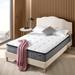 King Medium 12" Hybrid Mattress - Zinus | 80 H x 76 W 12 D in Wayfair MSHPBT-12K