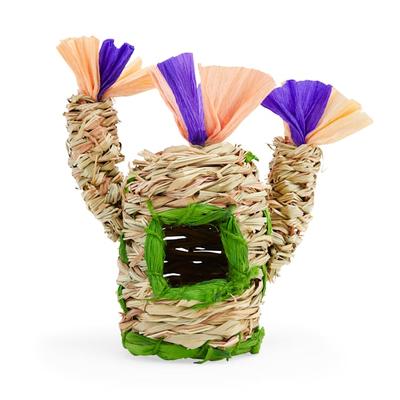 You & Me Small Animal Cactus Chewable Hideaway, Small