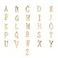 Fnixtar-Breloques initiales de lettre en acier inoxydable breloques d'alphabet polonaises miroir
