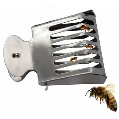 Réinitialisation de capture de reine en acier inoxydable équation équipement d'apiculture