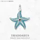 Pendentif Oceanstar bleu en argent Sterling 925 bijoux fins accessoires d'europe pour la mer