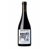 Roberto Henriquez Tierra de Pumas 2019 Red Wine - South America