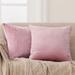 Deconovo Velvet Soft Throw Pillow Covers 2 PCS(Cover Only)