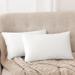 Deconovo Velvet Soft Throw Pillow Covers 2 PCS(Cover Only)