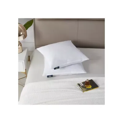 Serta Decorative Medium Firm 2-Pack Feather Pillow Insert, White, 20x20