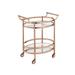 ACME Lakelyn Glass Serving Cart in Multicolor