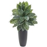 Primrue 37” Aglonema Artificial Plant In Planter (Real Touch) | 37 H x 23 W x 23 D in | Wayfair 2D8467ED5600480CB69723886749D279