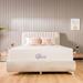 Twin Medium 10" Gel/Foam Mattress - Nap Queen Elizabeth, Cooling Gel Infused Memory Foam Mattress, Multiple Sizes | 75 H x 39 W 10 D in Wayfair