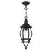 Livex Lighting Frontenac 17 Inch Tall Outdoor Hanging Lantern - 7523-14