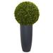 30" Boxwood Artificial Topiary Plant in Gray Cylinder Planter (Indoor/Outdoor) - 15"w x 15"D x 30"H