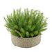 Primrue Faux Rosemary Grass In Small Seagrass Tray Basket Plastic/Wicker/Rattan in White | 13 H x 16 W x 16 D in | Wayfair