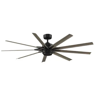 Fanimation Odyn Custom Ceiling Fan