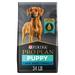 Chicken & Rice Formula Large Breed Dry Puppy Food, 34 lbs.